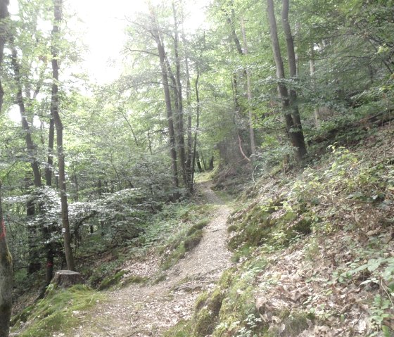 Weg zum 1. Türmchen, © Gerd Spitzlay Weg zum 1. Türmchen, © Gerd Spitzlay