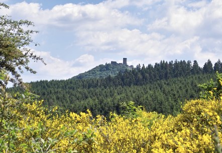 Burgruine Nürburg in Nürburg in der Eifel, © Verbandsgemeinde Adenau Burgruine Nürburg in Nürburg in der Eifel, © Verbandsgemeinde Adenau