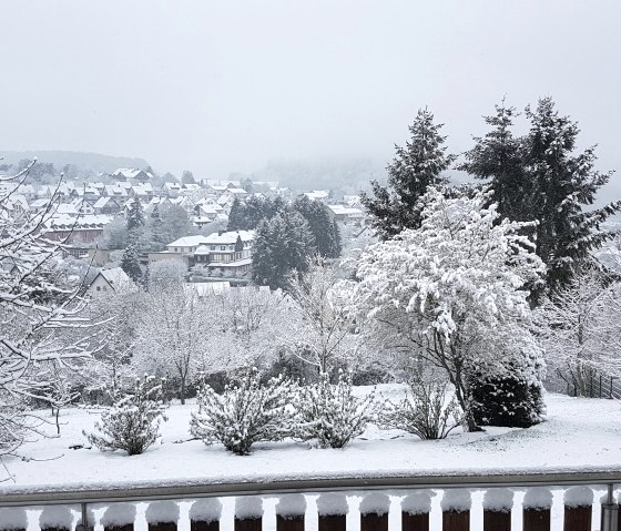 20190414_090534 20190414_090534