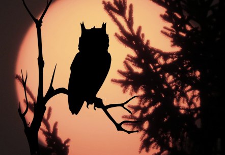 Am Eulenberg Am Eulenberg