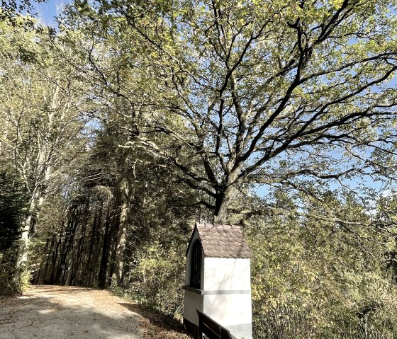 Heiligenhaus Waldweg Antweiler Heiligenhaus Waldweg Antweiler