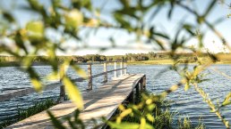 Jungferweiher Steg, © GesundLand Vulkaneifel /D. Ketz Jungferweiher Steg, © GesundLand Vulkaneifel /D. Ketz