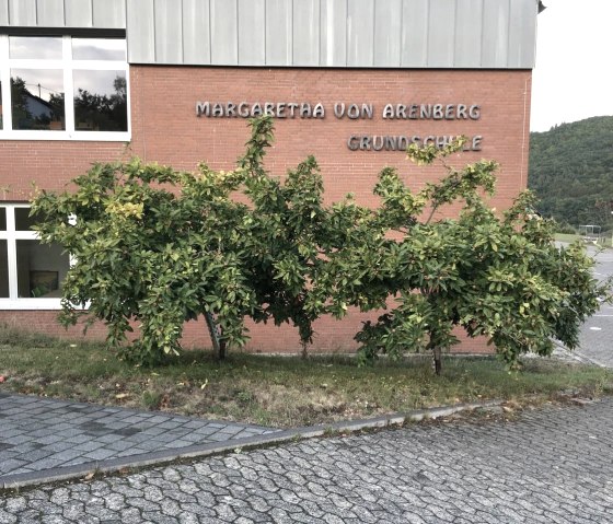 Margaretha von Aremberg Grundschule, © C. Schmitz Margaretha von Aremberg Grundschule, © C. Schmitz