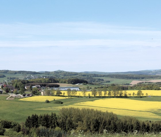 Weite Landschaft mit gelben Rapsfeldern, grünen Wiesen und einem kleinen Dorf im Hintergrund. Der Himmel ist blau und klar., © Walter Schmitz Weite Landschaft mit gelben Rapsfeldern, grünen Wiesen und einem kleinen Dorf im Hintergrund. Der Himmel ist blau und klar., © Walter Schmitz