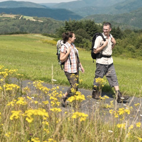 Twee wandelaars op een pad in een groen landschap met gele bloemen op de voorgrond en heuvels op de achtergrond., © Ahrtaltourismus e.V. Twee wandelaars op een pad in een groen landschap met gele bloemen op de voorgrond en heuvels op de achtergrond., © Ahrtaltourismus e.V.
