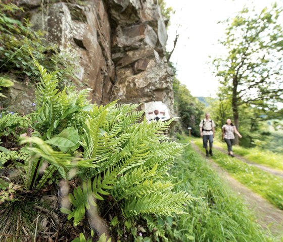 AhrSteig bei Schuld, © Ahrtaltourismus_AhrSteig,D.Ketz AhrSteig bei Schuld, © Ahrtaltourismus_AhrSteig,D.Ketz
