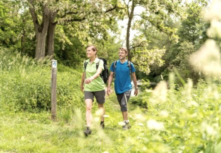 AhrSteig_Dominik_Ketz, © Dominik_Ketz AhrSteig_Dominik_Ketz, © Dominik_Ketz