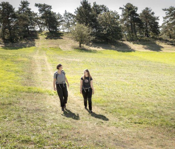 Kiefernwald Hürstnück, © Tourist-Information Hocheifel-Nürburgring Kiefernwald Hürstnück, © Tourist-Information Hocheifel-Nürburgring