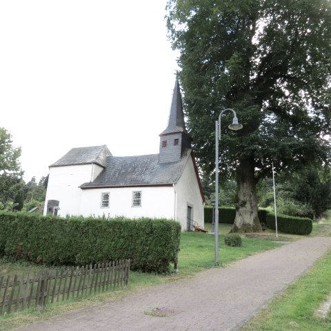 Filialkirche St. Antonius mit Ulme, © Tourist-Information Hocheifel-Nürburgring, VG Adenau Filialkirche St. Antonius mit Ulme, © Tourist-Information Hocheifel-Nürburgring, VG Adenau