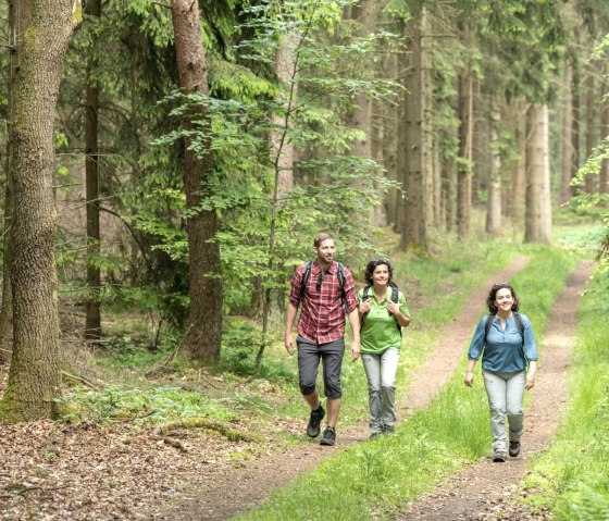 Wanderung durch Waldpassage auf der Eifelleiter, © Eifel Tourismus GmbH, D. Ketz Wanderung durch Waldpassage auf der Eifelleiter, © Eifel Tourismus GmbH, D. Ketz