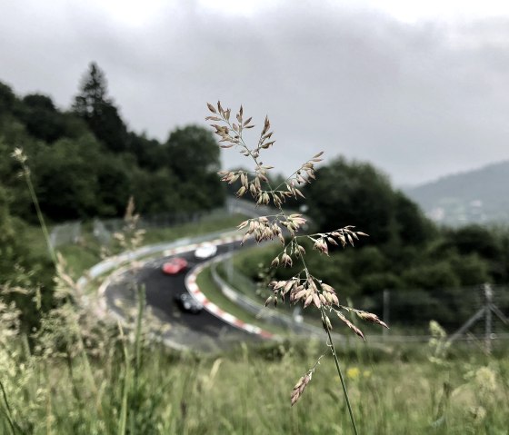 Nordschleife, © TI Hocheifel-Nürburgring, Sebastian Schulte Nordschleife, © TI Hocheifel-Nürburgring, Sebastian Schulte