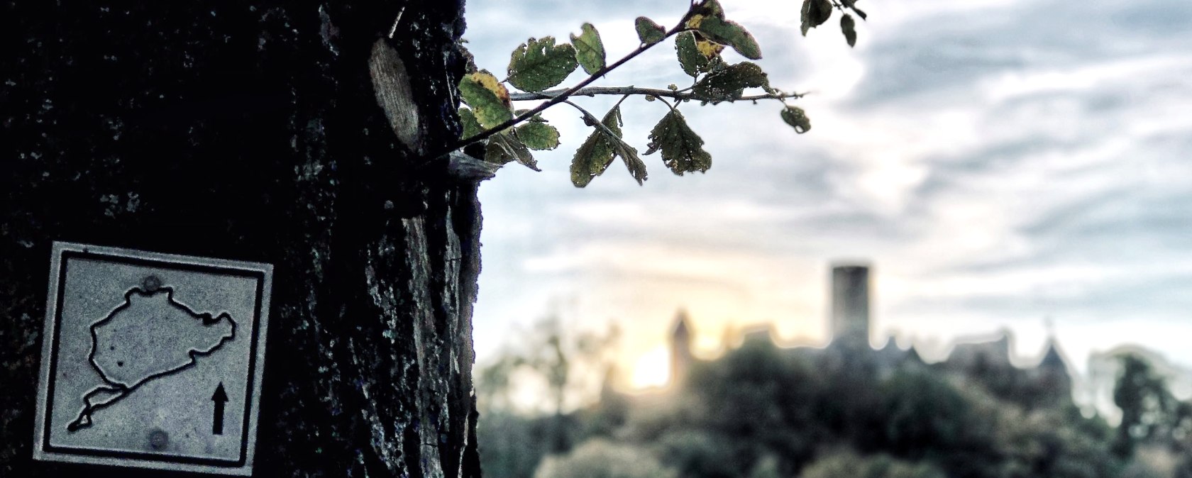 Auf den Spuren der Grünen Hölle am Nürburgring | Wandern in der Region Hocheifel-Nürburgring, © Sebastian Schulte Auf den Spuren der Grünen Hölle am Nürburgring | Wandern in der Region Hocheifel-Nürburgring, © Sebastian Schulte