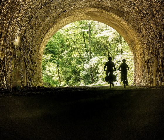 En route sur la piste cyclable de l'Ahr, © Eifel Tourismus GmbH, Dominik Ketz