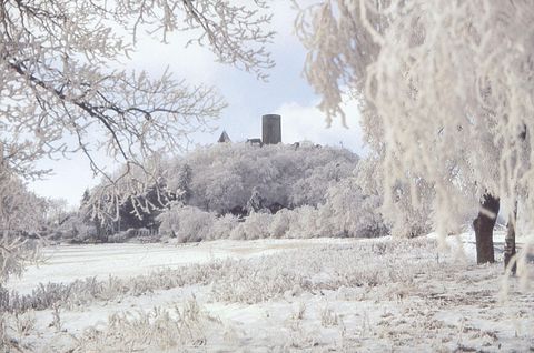 Eine verschneite Landschaft mit gefrorenen Bäumen. Im Hintergrund steht eine Burg auf einem Hügel.
