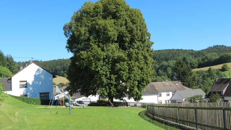 Eine grüne Wiese mit einem großen Baum und mehreren Häusern im Hintergrund. Der Himmel ist klar und blau, was eine ruhige ländliche Atmosphäre schafft.