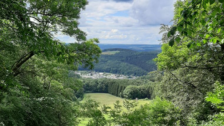 Blick durch Bäume auf eine grüne Landschaft mit einem Dorf im Hintergrund unter einem bewölkten Himmel.
