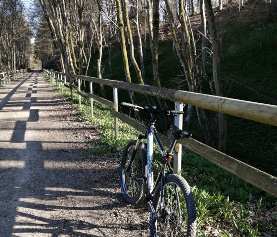 Ahr-fietspad Ahrdorf_AhrHütte, © TI Hocheifel-Nürburgring,D.Schmitz