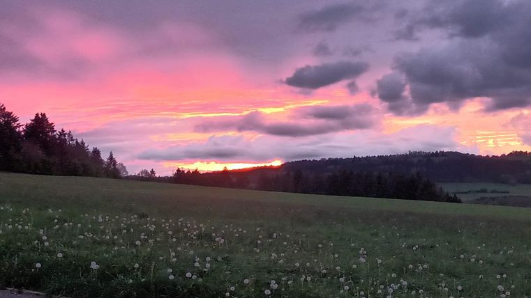 A colorful sunset over a meadow with dandelions. Dark clouds drift across the sky while the light illuminates the landscape.
