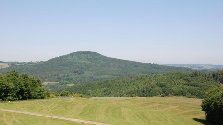 Eine grüne Landschaft mit sanften Hügeln und einem bewaldeten Berg im Hintergrund. Der Himmel ist klar und blau.
