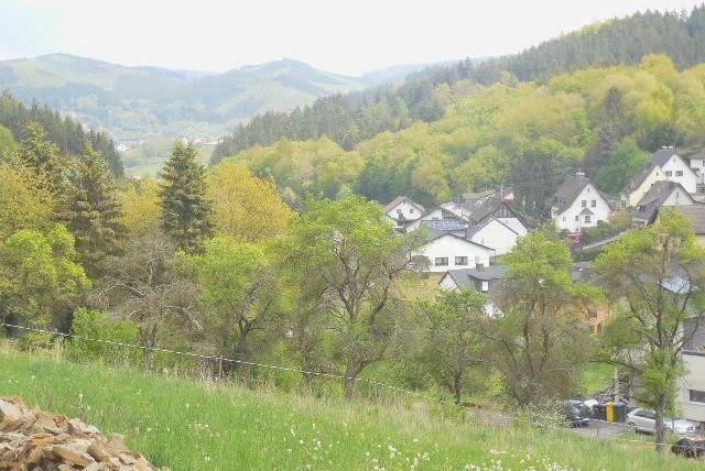 Un paysage pittoresque avec des forêts vertes et des collines. Au premier plan, on peut voir quelques maisons entourées d'arbres.