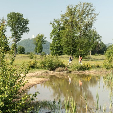 Randonnée au Rodder Maar, château d'Olbrück en arrière-plan, © Eifel Tourismus GmbH, D. Ketz