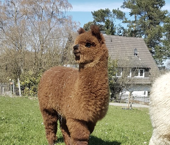 Wie hei&szlig;e ich, &copy; M.Terzan