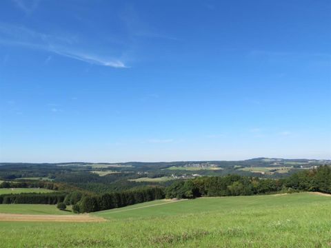 Eine weite Landschaft mit grünen Wiesen und sanften Hügeln. Der Himmel ist klar und blau.