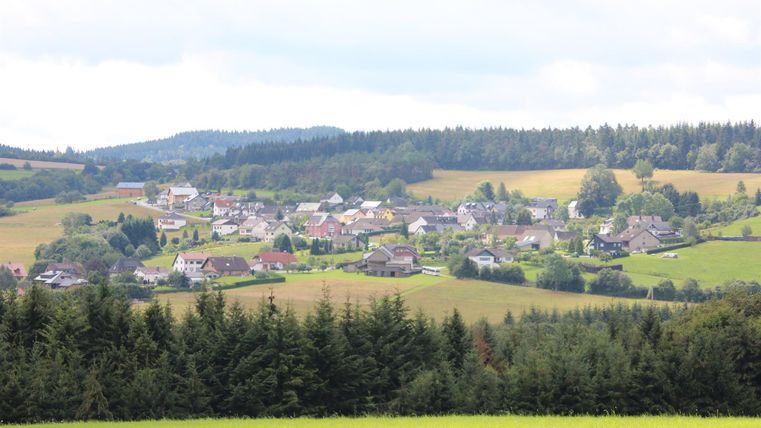 Eine malerische ländliche Gegend mit einem kleinen Dorf inmitten von grünen Feldern und Wäldern. Der Himmel ist teilweise bewölkt und die Landschaft bietet eine ruhige Atmosphäre.