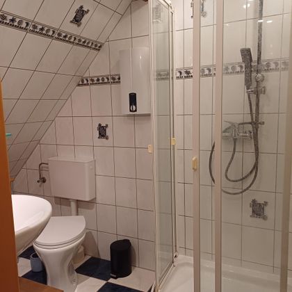 La salle de bain de l'appartement de vacances est équipée d'une douche, d'un WC et d'un lavabo.