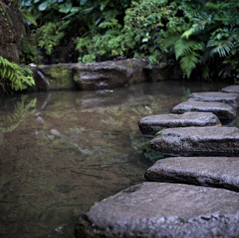 Bachlauf, &copy; Bachlauf&copy;ArchivfotoMicrosoft