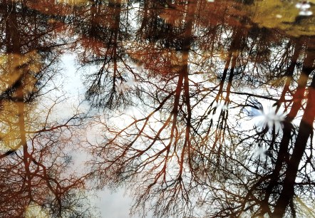 Herbst in der Eifel. Ein Farbenspiel der Natur! Herbstzauber, © Sebastian Schulte