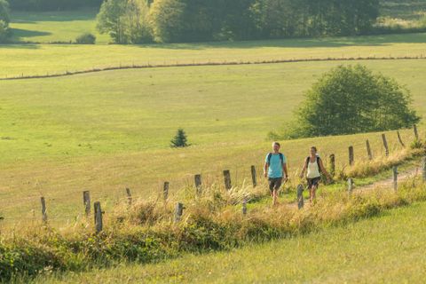 Zwei Personen wandern auf einem Weg durch eine grüne Landschaft. Im Hintergrund sind Wiesen und Bäume zu sehen.