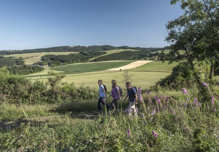 Eifel ladder Hohenleimbach, © Kappest