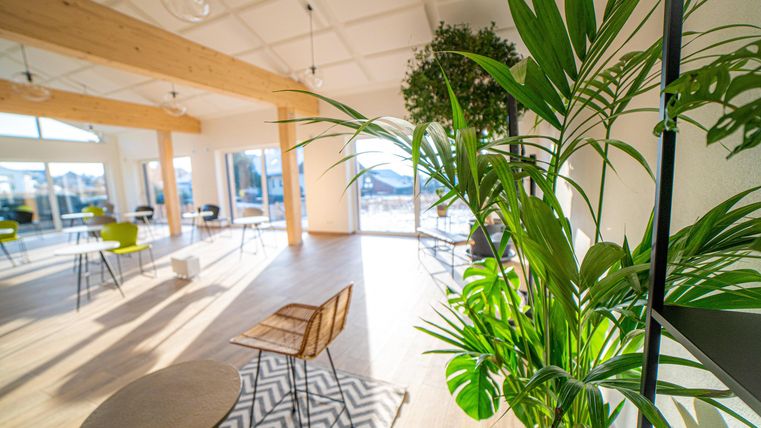 Ein heller, moderner Raum mit Pflanzen und Holzdetails. Große Fenster sorgen für viel natürliches Licht.