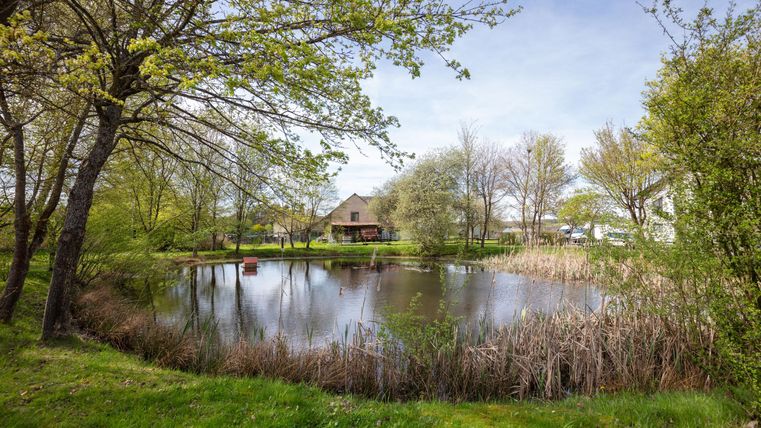 Een rustige vijver omringd door bomen en fris groen. Op de achtergrond is een huis zichtbaar dat in het landschap is geïntegreerd.