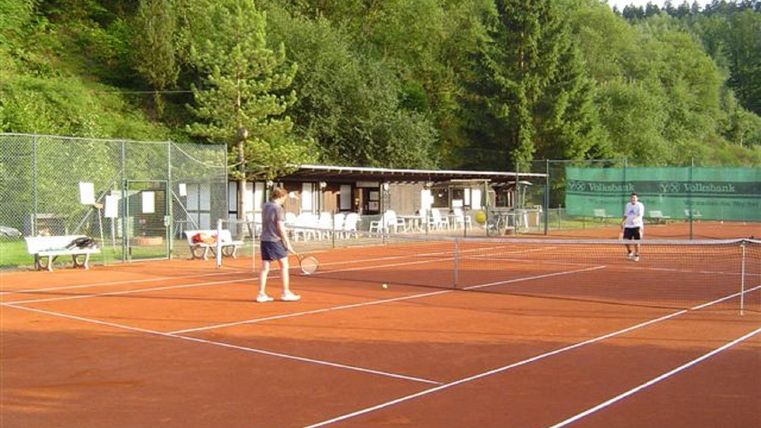 Zwei Männer spielen Tennis auf einem roten Platz. Im Hintergrund sind Bäume und eine kleine Hütte zu sehen.