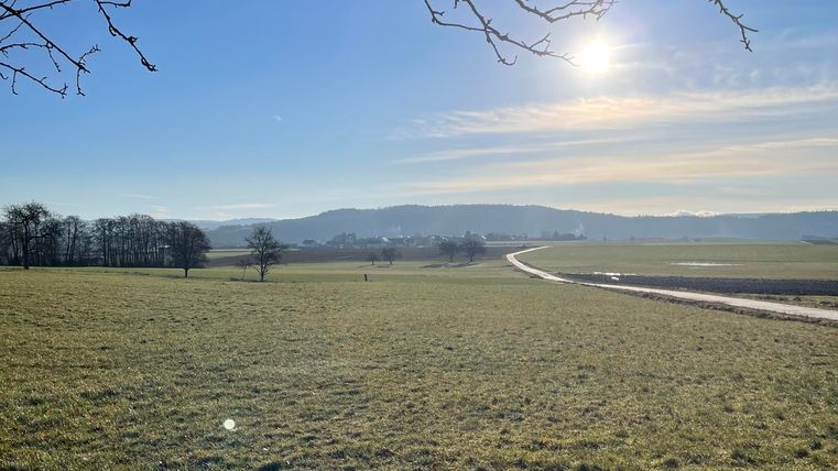 Une vaste prairie sous un ciel bleu clair. Le soleil brille et un chemin s'étend au loin.