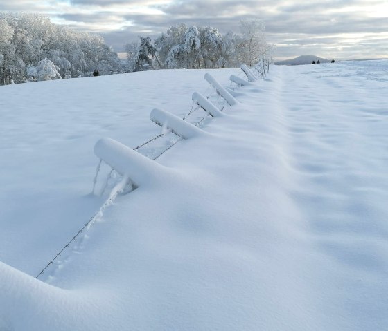 Winter in der Eifel, © Daniela Schmitz