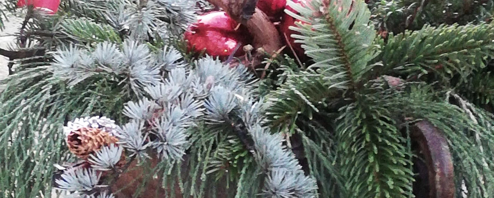 Winterimpression, &copy; TI Hocheifel-N&uuml;rburgring