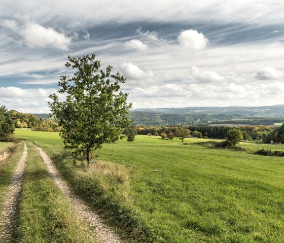 Sentier de prairie sur l'AhrSteig, © AhrSteig Kooperation,D.Ketz