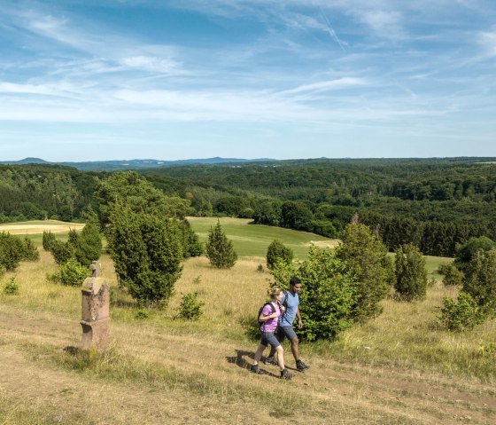 Deux randonneurs sur un sentier dans un paysage vert et vallonné, avec des arbres et un vaste ciel., © Eifel Tourismus GmbH, Dominik Ketz