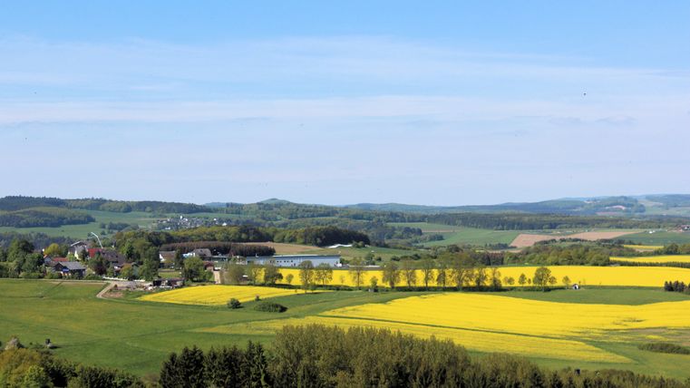 Landschaft mit gelben Rapsfeldern, grünen Wiesen und einem kleinen Dorf im Hintergrund unter blauem Himmel.