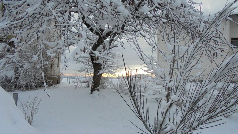 Ein verschneiter Garten mit einem Baum und schneebedeckten Sträuchern. Im Hintergrund ist ein sanfter Sonnenaufgang zu sehen.