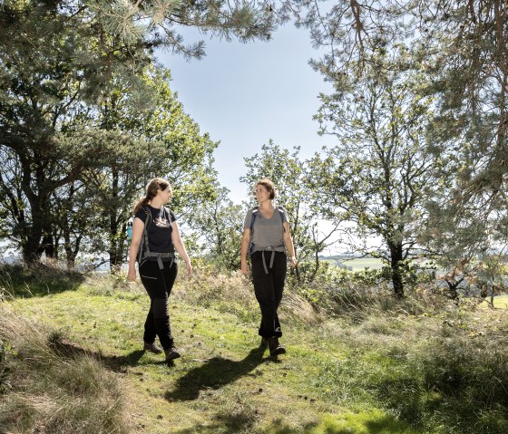 Hocheifel-Panoramaweg_H&uuml;rsn&uuml;ck029&copy;BaumannFotografie, &copy; TI Hocheifel-N&uuml;rburgirng&copy;BaumannFotografie