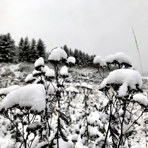 Winterstimmung, © Sebastian Schulte