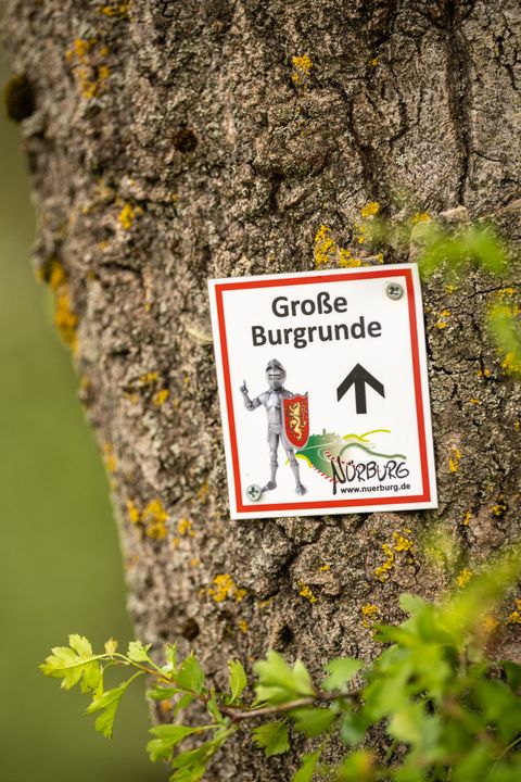 An einem Baumstamm hängt ein weißes Wegeschild mit rotem Rand und der Aufschrift „Große Burgrunde“, dazu ein schwarzer Pfeil nach oben und das Nürburg-Logo mit einem Ritter und der Webadresse „www.nuerburg.de“.
