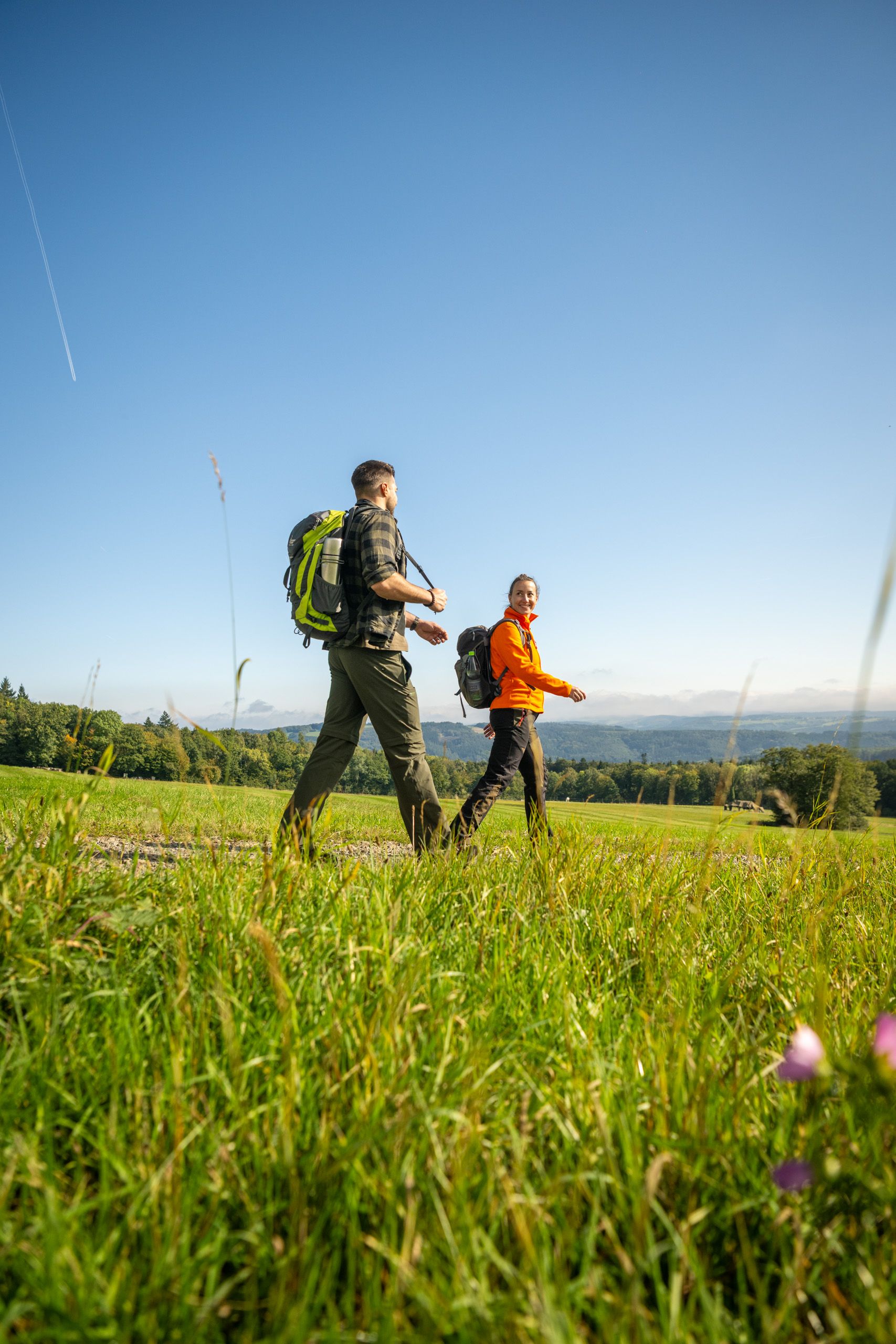 Zwei wandernde Personen gehen über eine sonnige, grüne Wiese mit Blick auf eine weitläufige Hügellandschaft. Im Vordergrund stehen einzelne Bäume, im Hintergrund Wälder und sanfte Hügel unter einem klaren blauen Himmel