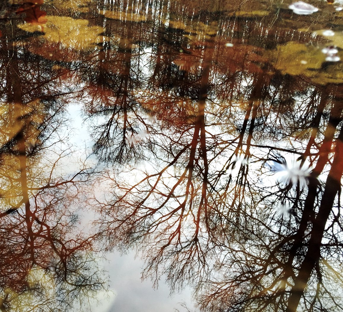 Herbst in der Eifel. Ein Farbenspiel der Natur! Herbstzauber, &copy; Sebastian Schulte