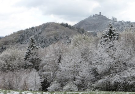Winterbild Blick zur Nürburg, © Walter Schmitz