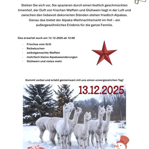 Plakat Weihnachtszauber mit Alpakas, © Sandras Eifler Alpakas